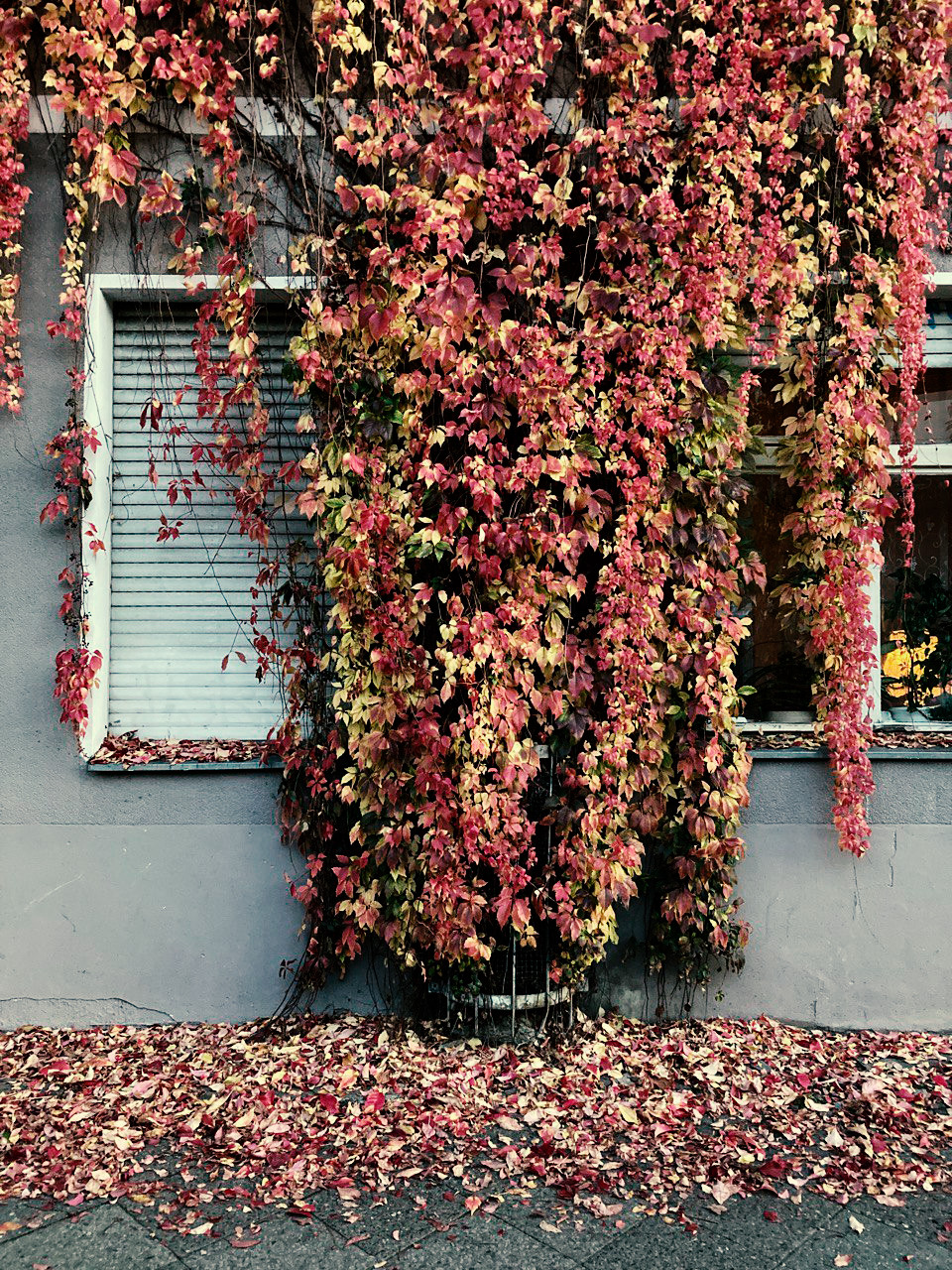 Herbstfoto_Haus1